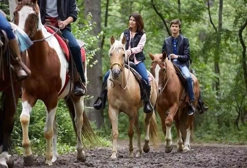 ホテル A Cantaruxa Maruxa Turismo Rural