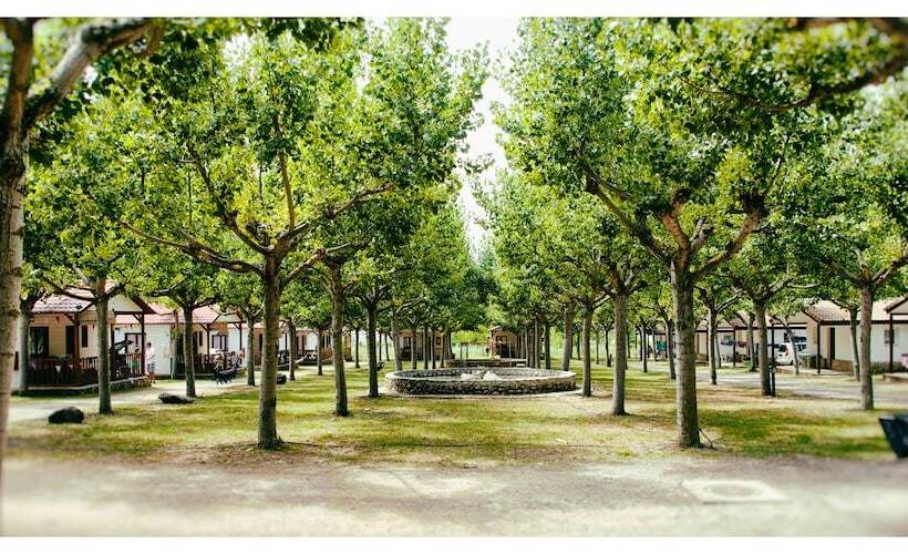 Отель Camping Bungalow Parque Isábena