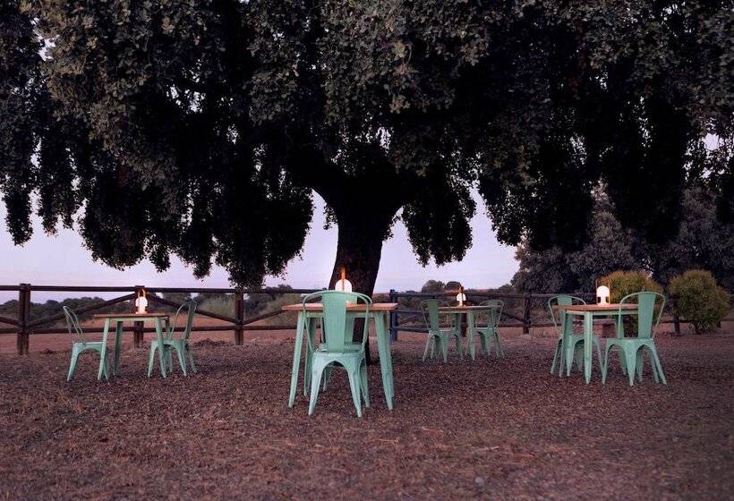 田舎風ホテル Miluna