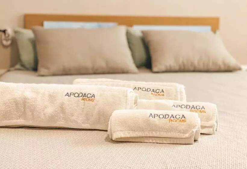 پانسیون Apodaca Rooms
