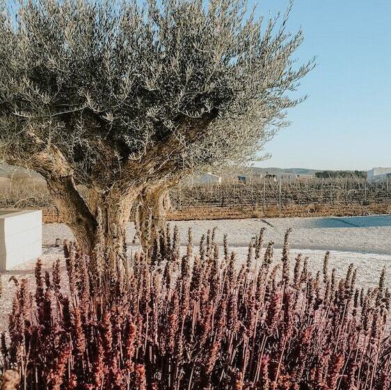 پانسیون Casa Boquera Resort & Winery