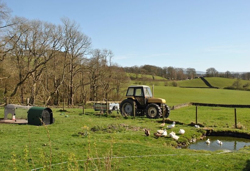 Bed & Breakfast Airds Farm Guest House