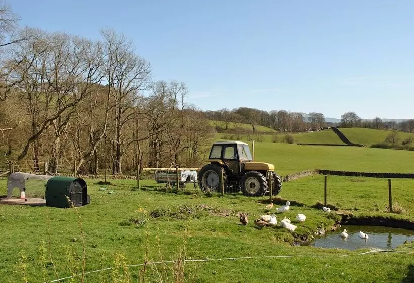 Aamiaismajoitus (B&B) Airds Farm Guest House