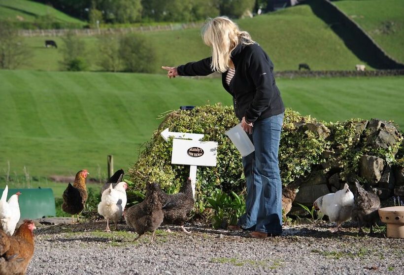 Bed & Breakfast Airds Farm Guest House