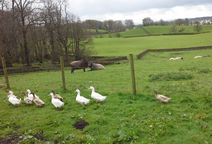 Bed & Breakfast Airds Farm Guest House