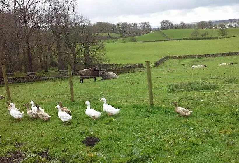 Aamiaismajoitus (B&B) Airds Farm Guest House