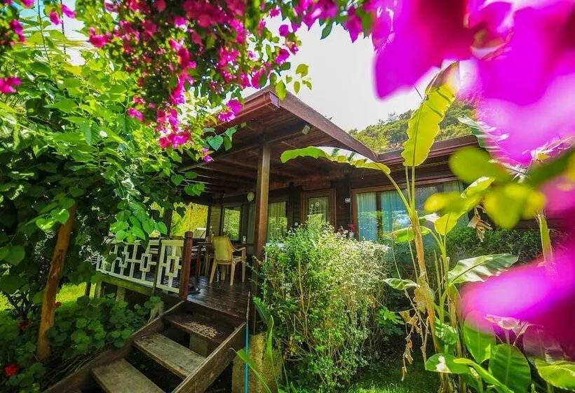 Cirali Villa Zeytin