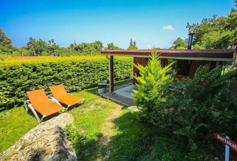 Cirali Villa Zeytin