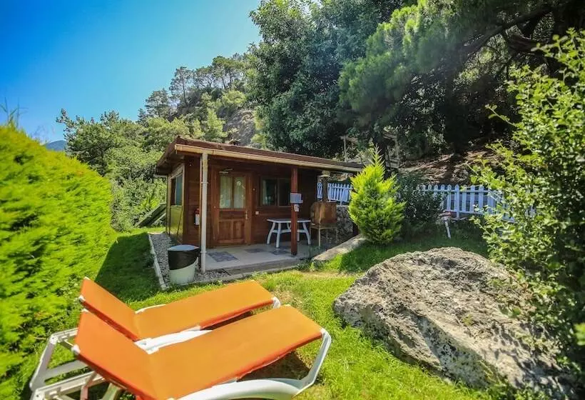 Cirali Villa Zeytin