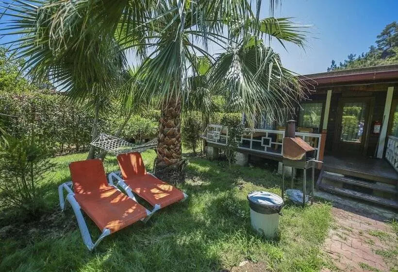 Cirali Villa Zeytin