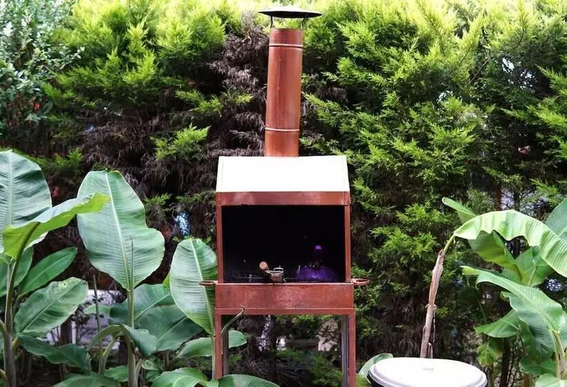 Cirali Villa Zeytin