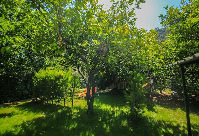 Cirali Villa Zeytin