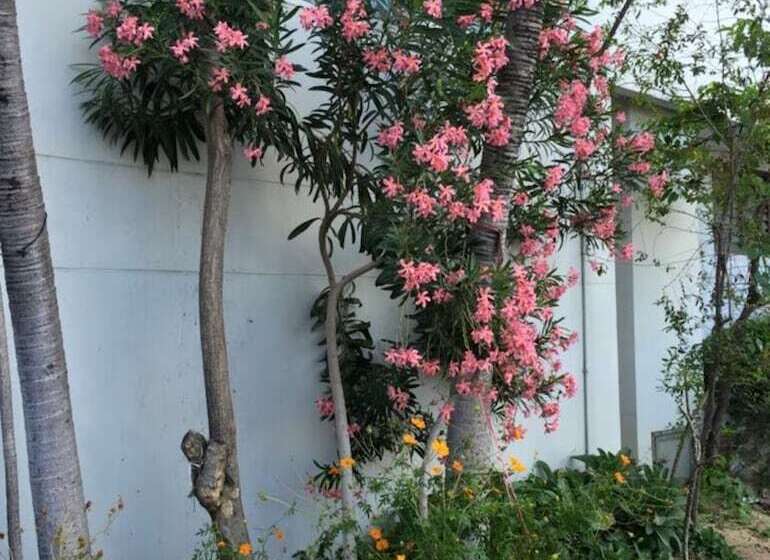 בית מלון כפרי Ittipol Apartment