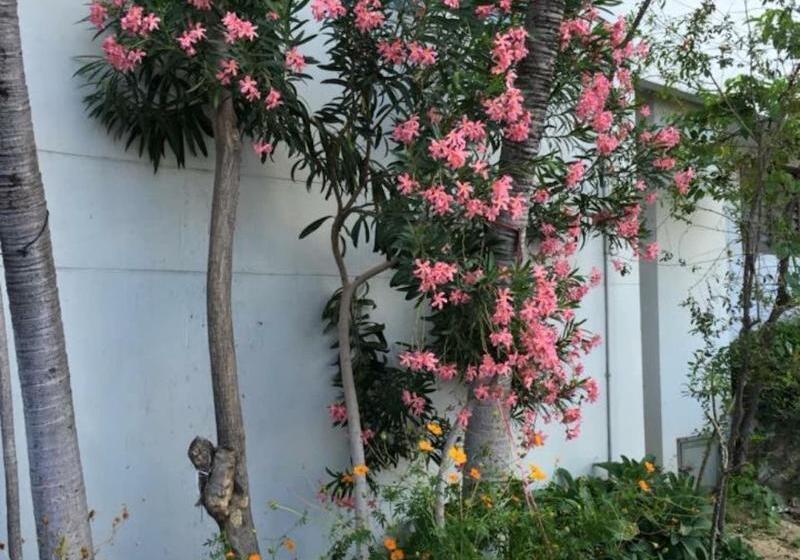 בית מלון כפרי Ittipol Apartment