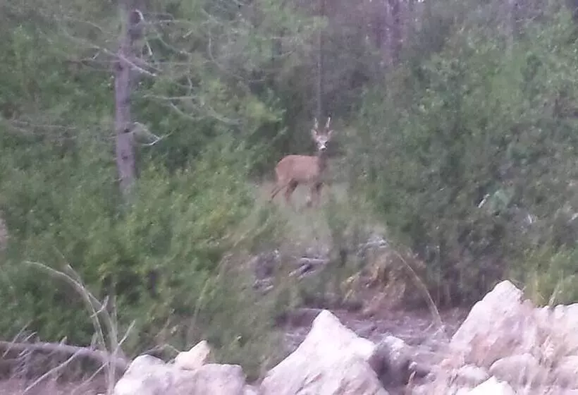 ホテル La Casa Grande Fuertescusa