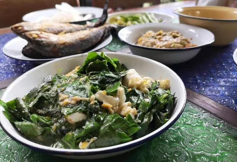 پانسیون Siri Guesthouse @ Surat Thani