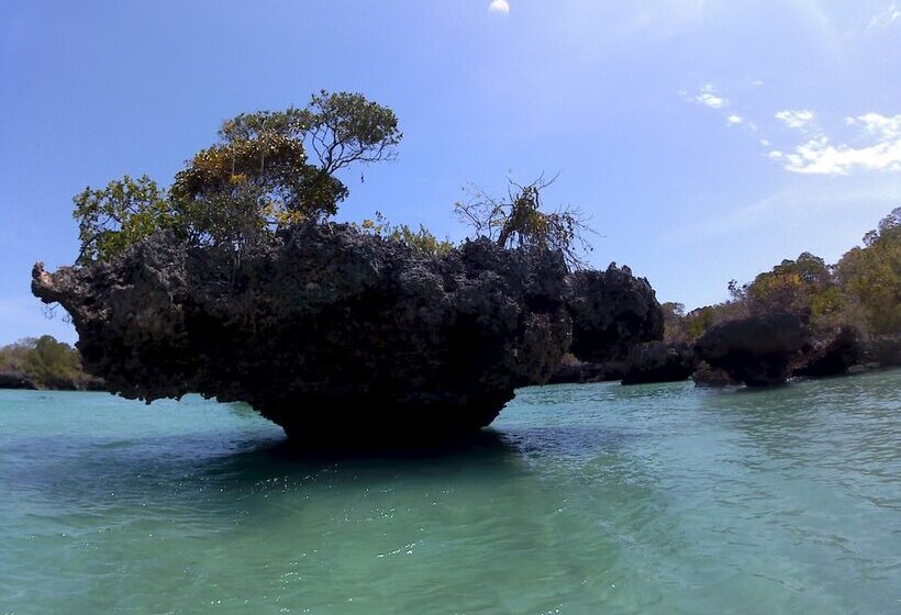 Bed & Breakfast Moonshine Villa