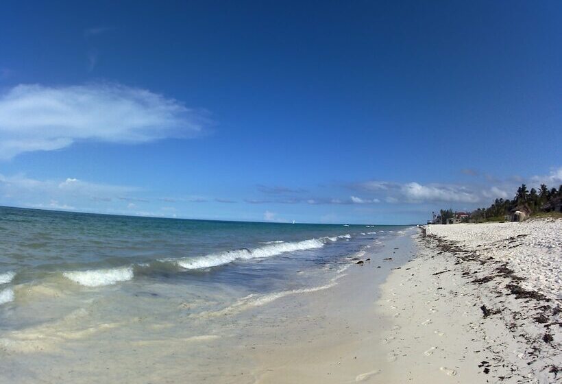 Bed & Breakfast Moonshine Villa