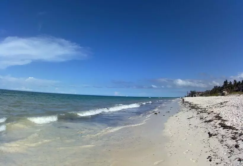 Aamiaismajoitus (B&B) Moonshine Villa