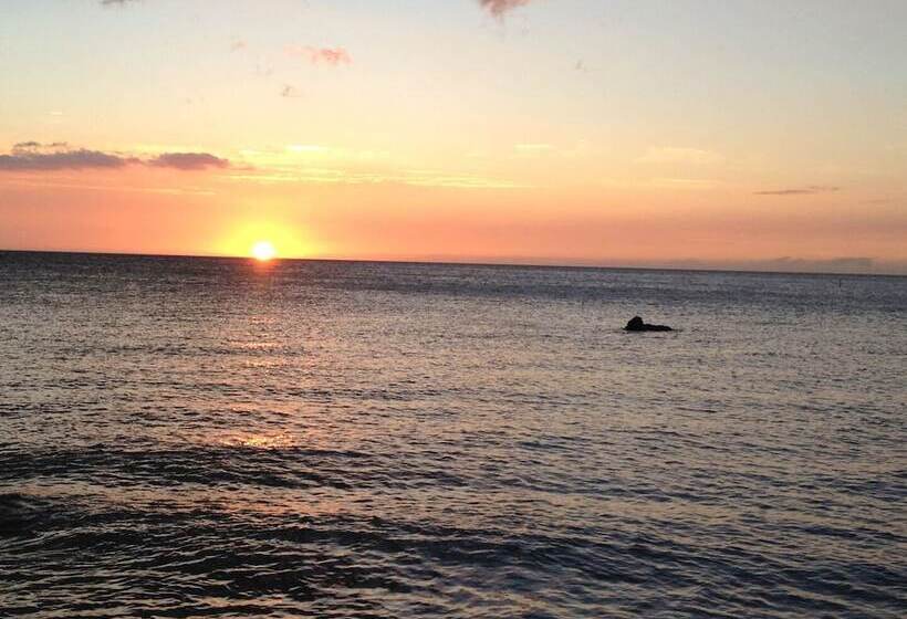 Fairway S A 31 2 Bedroom Condo By Redawning