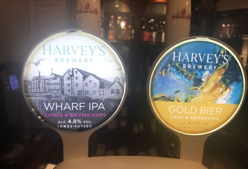 مسافرخانه The Dorset