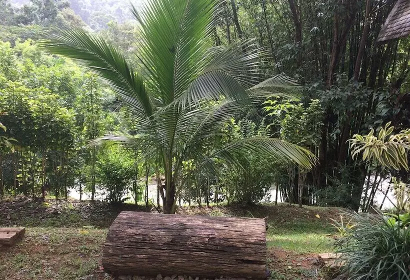 ホテル Thip Thara Resort And Adventure Camp