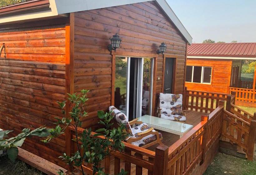 Alaska Bungalow Sapanca