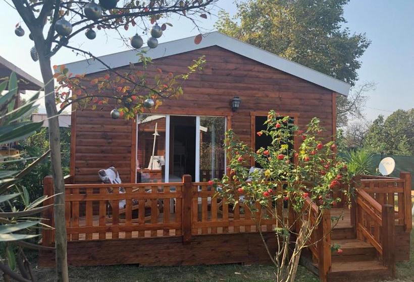 Alaska Bungalow Sapanca