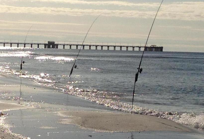 Island Shores 653 2 Bedroom Condo By Redawning