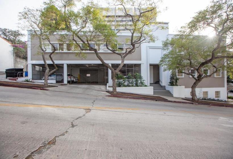 فندق صغير Dormshare Westwood