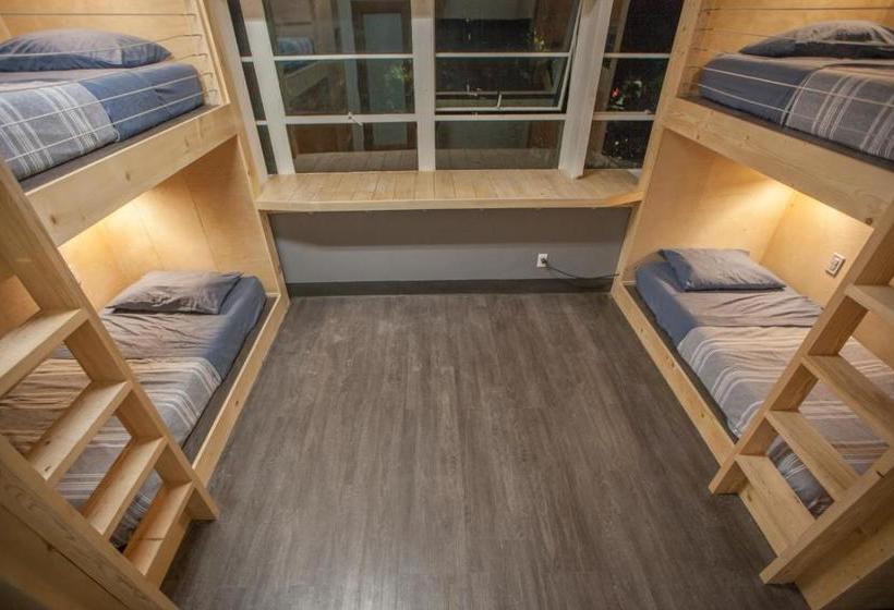 فندق صغير Dormshare Westwood