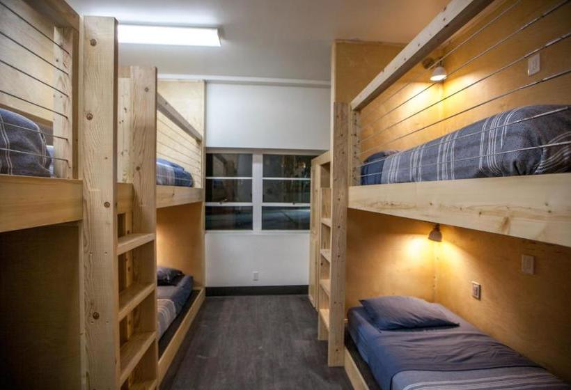 فندق صغير Dormshare Westwood