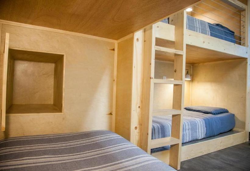 فندق صغير Dormshare Westwood