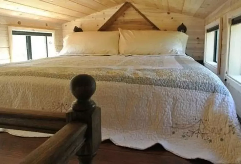 Coral Tree House