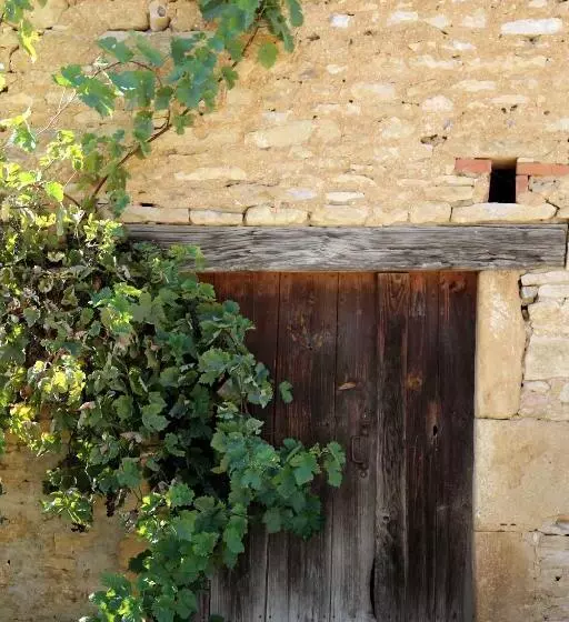 Domaine De La Licorne