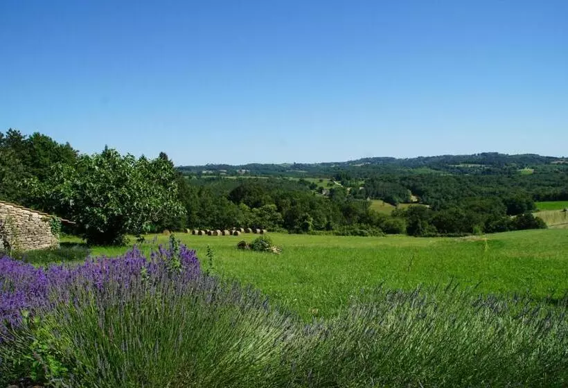 Domaine De La Licorne