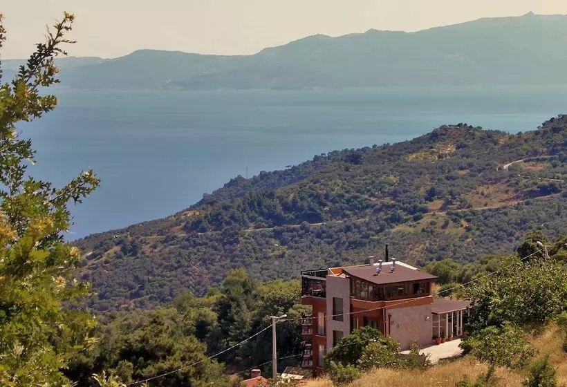 Hotelli Assos Kayalar Terrace Boutique