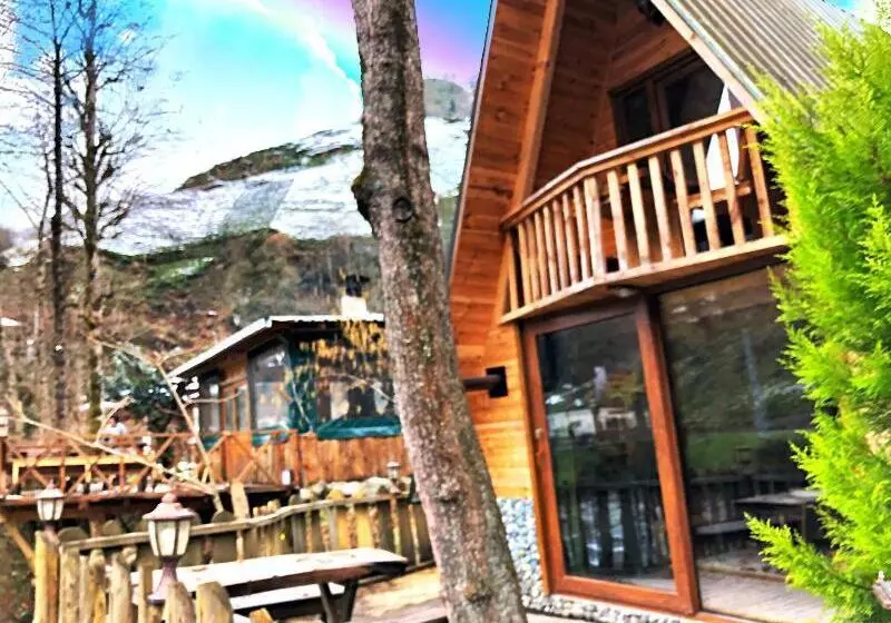 Hotelli Lotus çamlıhemşin Suit & Bungalov