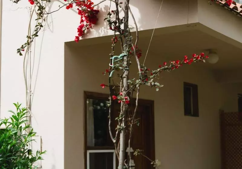 هتل Village Garden Pansiyon Restuarant