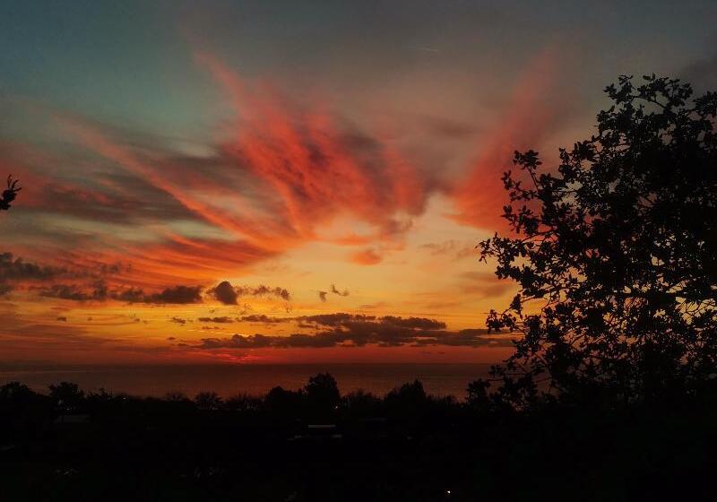 Hotel Village Garden Pansiyon Restuarant
