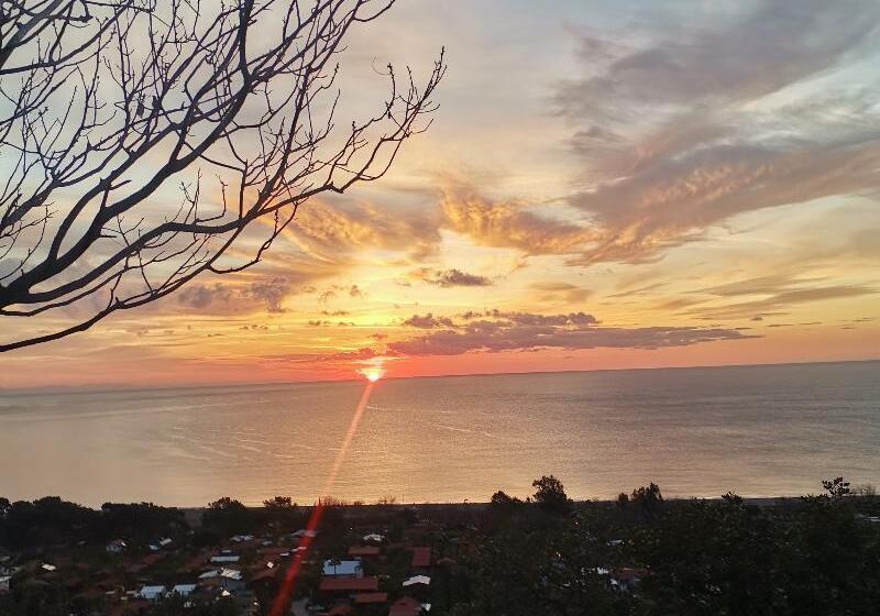 Hotel Village Garden Pansiyon Restuarant