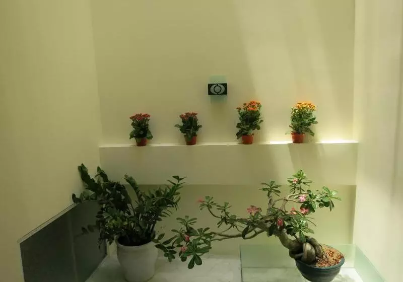 پانسیون Fireworks Homestay