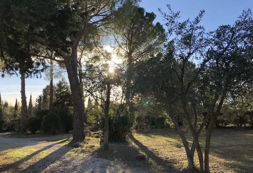 Acanthes & Provence