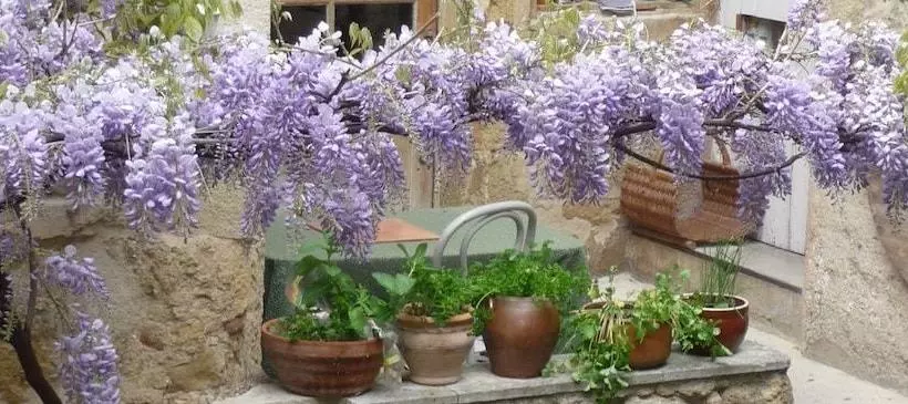 Aamiaismajoitus (B&B) La Cordière