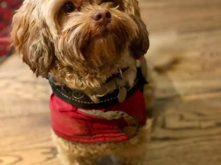 簡易ホテル The Wheatsheaf