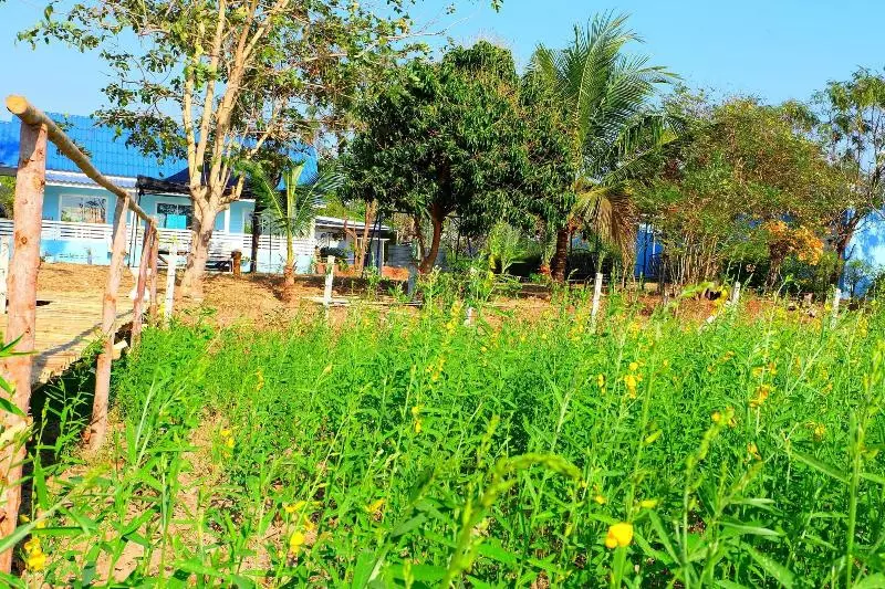 هتل Baan Fa La Mai Resort