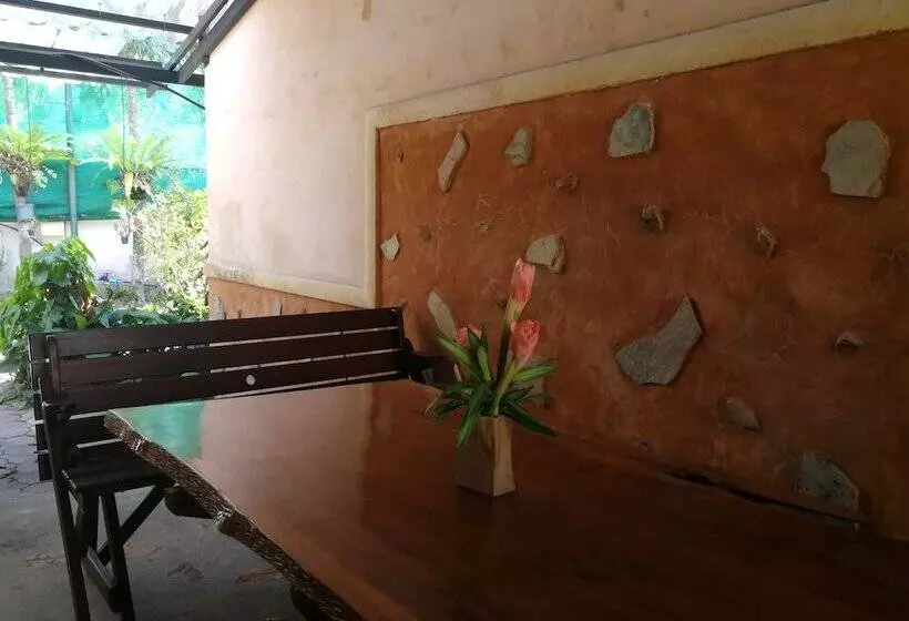 ホテル Palm Chalet Resort