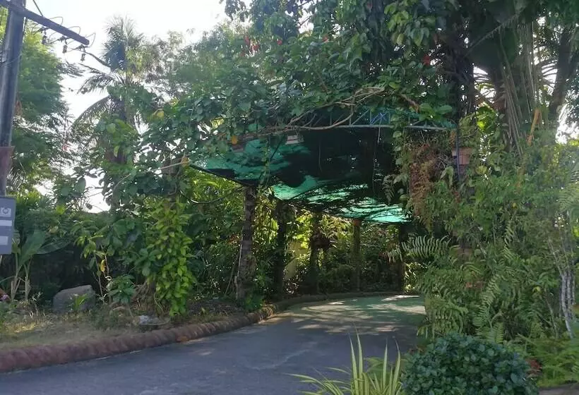 ホテル Palm Chalet Resort