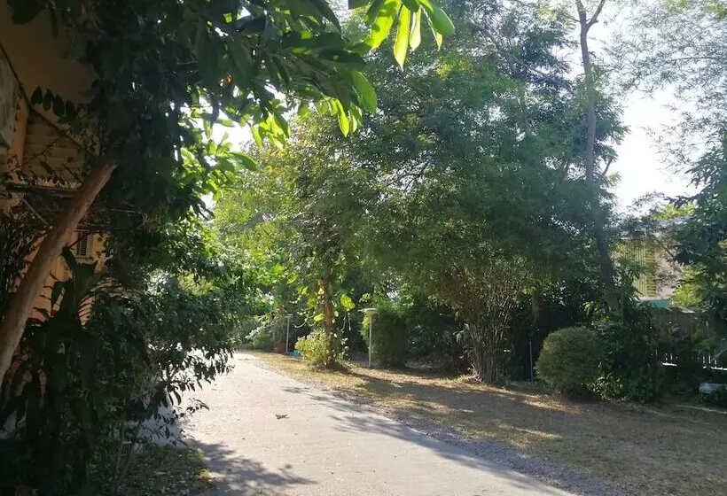 ホテル Palm Chalet Resort