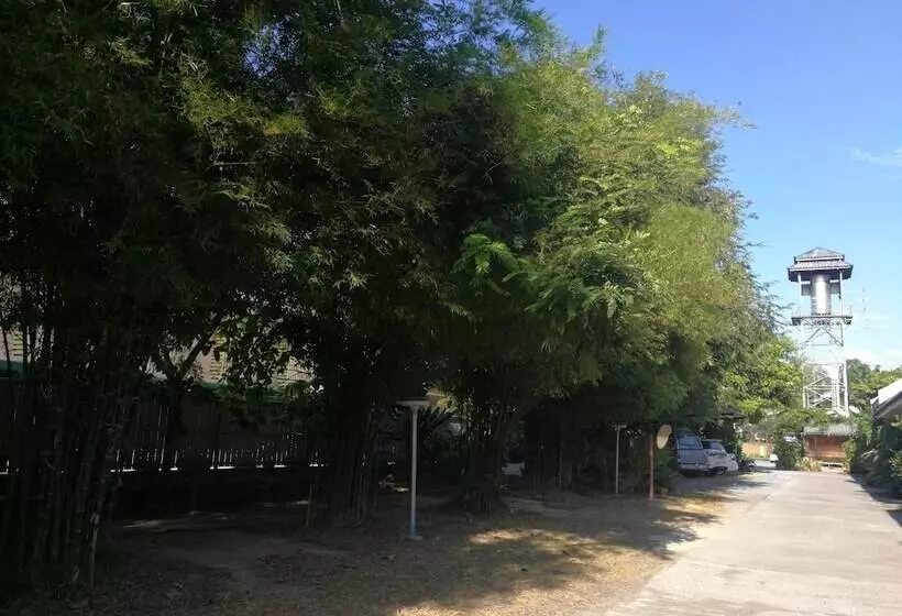 ホテル Palm Chalet Resort